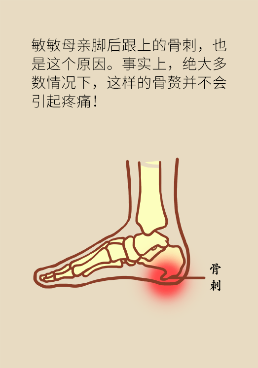 脚踝疼痛是什么原因图片