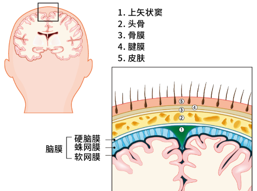 在太空中,人的大腦重新