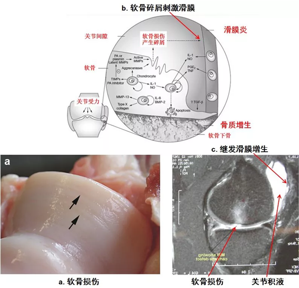 图片24.png