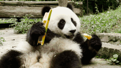 微信图片_20211215123241.gif