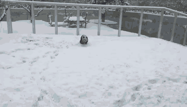 微信图片_20211215123652.gif