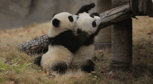 微信图片_20211215123712.gif