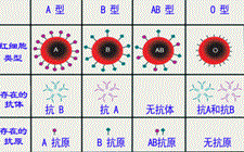 微信图片_20240910112016.png