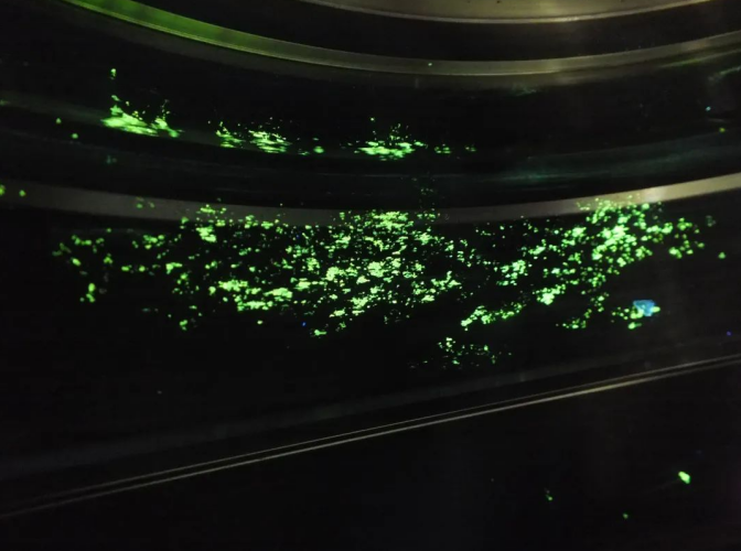 1744340282551574.png image.png