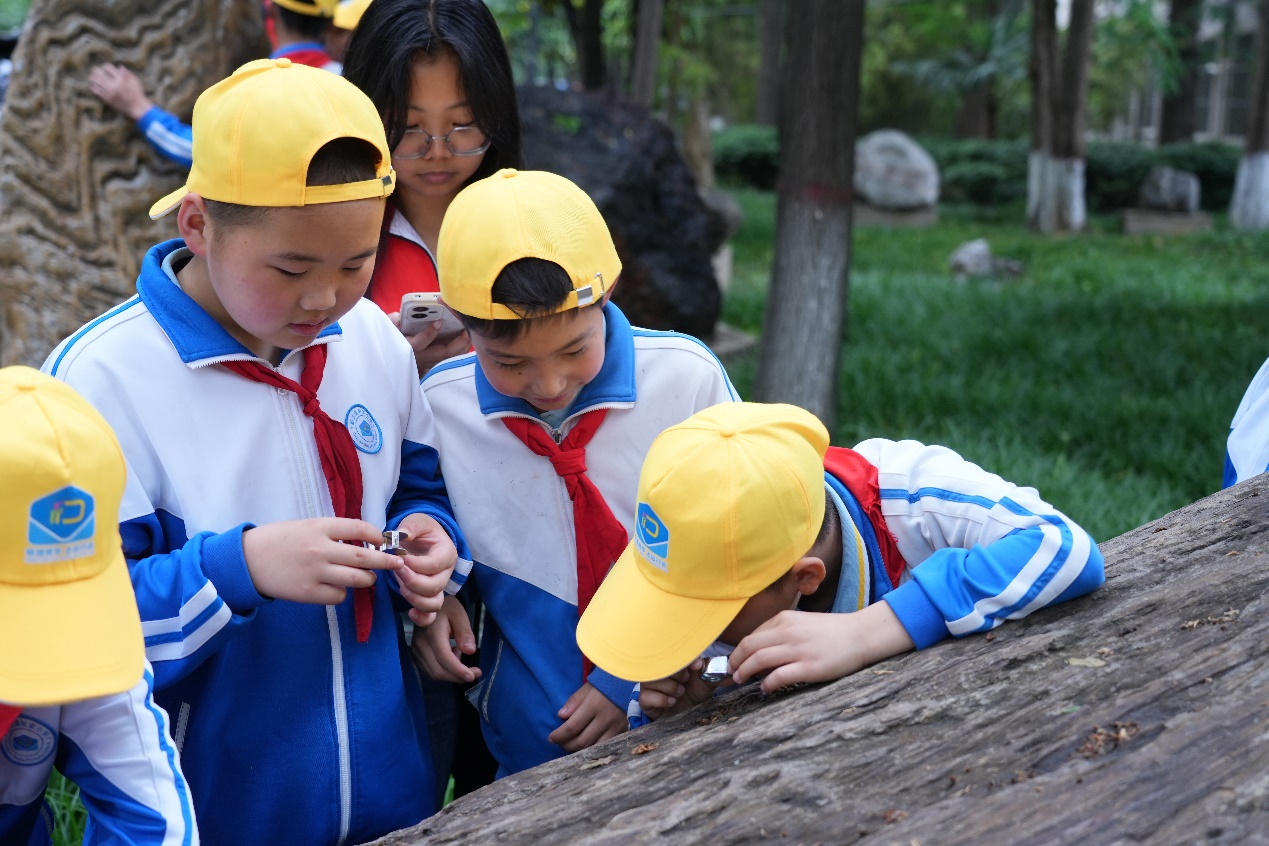 1779348117512976.png 图片4.png