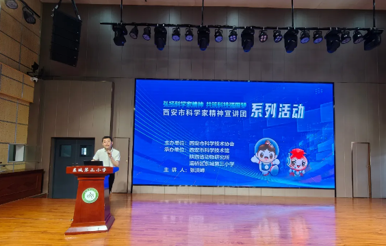 1781160292196571.png image.png